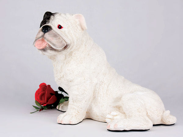 Bulldog, White - Click Image to Close