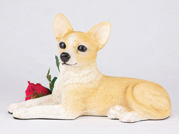 Chihuahua, Shorthair, Fawn & White - Click Image to Close