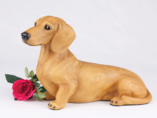 Dachshund, Shorthair, Red - Click Image to Close