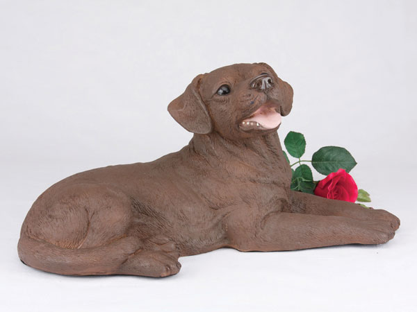 Labrador Retriever, Chocolate - Click Image to Close