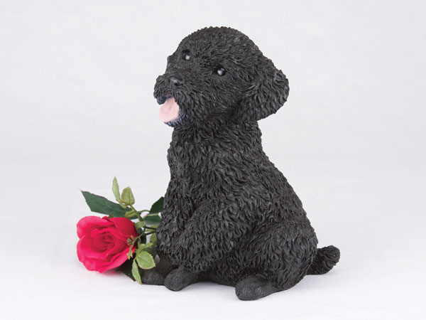 Poodle, Miniature, Black - Click Image to Close