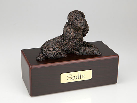 Poodle, Miniature - Click Image to Close